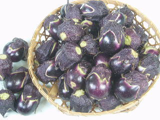 cȂ