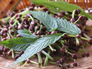 ݂̂ނ