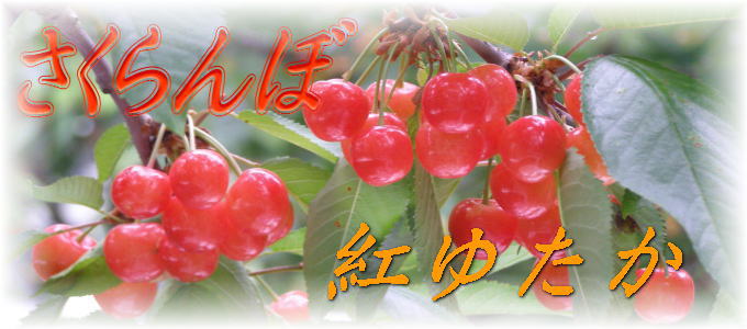 ځ@g䂽