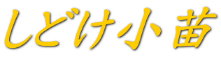 しどけ小苗