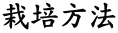 ͔|@